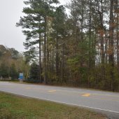 A patch of wooded land sits adjacent to the Grey Oaks subdivision along County Road 11.