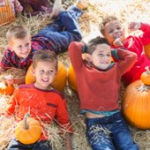 Children enjoy a pumpkin patch.