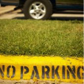 "No Parking" is stenciled in black letters on a yellow curb. We see a car's back wheel parked in a space beyond a grassy area.