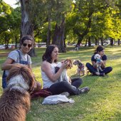 Three women play with dogs while sitting on the grass in a park.