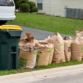 Yard waste: Your questions answered.