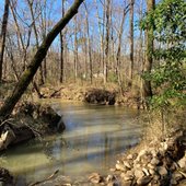 Photo shows the results of the storm debris cleanup of Cahaba Valley Creek (a.k.a. Bishop Creek).