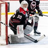 Birmingham Bulls hockey team in action.