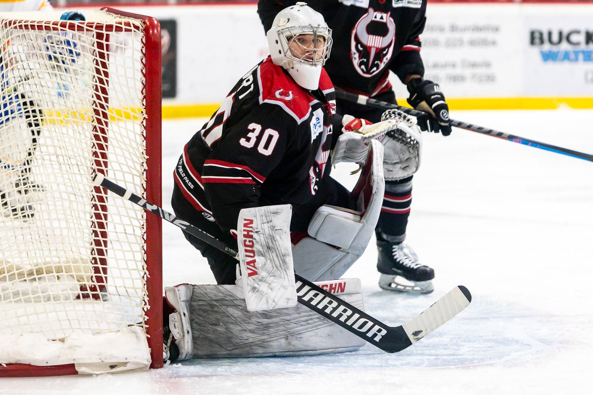 Birmingham Bulls 2022.2